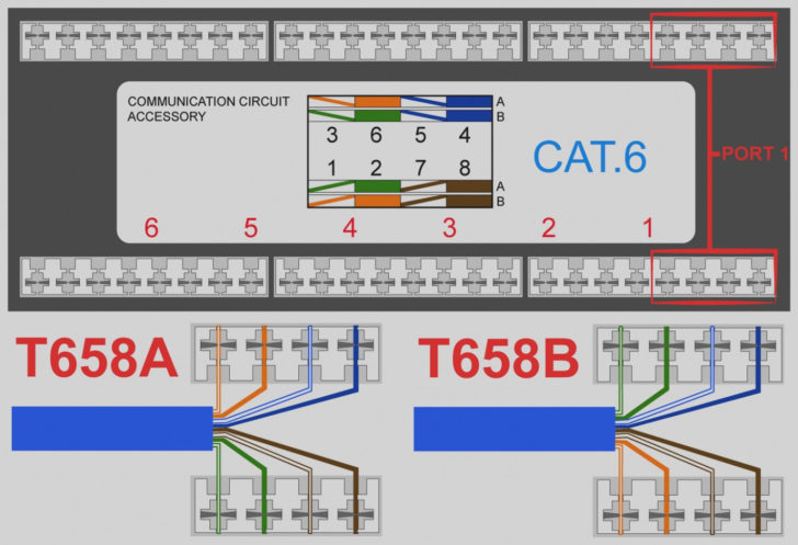 Cat6 Socket Wiring Diagram Free Wiring Diagram Wiring Diagram