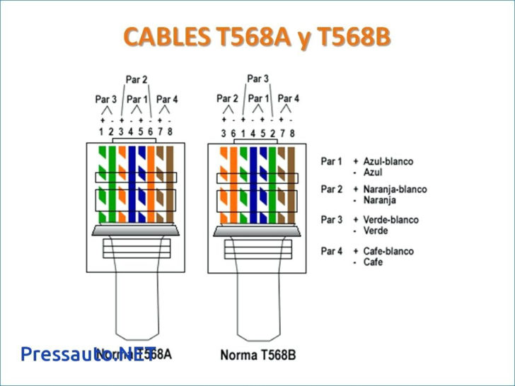 Cat 5 Wiring Diagram Pdf Free Wiring Diagram – Wiring Diagram