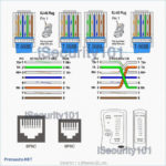 Wall Plate Cat 5 Wiring Diagram Wall Jack – Wiring Diagram